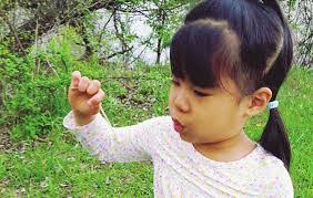 Anna Bluhm's Instagram, Twitter & Facebook