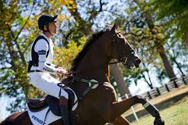 A black horse shows you have energy that needs to move into your life in a positive manner. The Chronicle Of The Horse