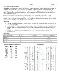Before talking about dna fingerprinting and paternity worksheet answer key you should are aware that schooling is actually our step to a much better the next day and also mastering won t just stop after a education bell rings that will being explained all of us supply you with a variety of straightforward yet informative posts plus templates. Dna Fingerprinting Activity