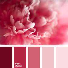The pastel red hex color code is #ff6961. Pastel Shades Of Pink Colour Color Palette Ideas