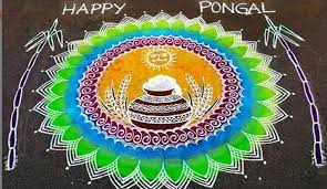 Pongal 2020 Decorate Your House With These Beautiful Kolam Rangoli Designs Lifestyle News India Tv Easy colourful rangoli design with 7x4 dots sikku kolam for beginners 2021 rangoli melikala muggulu. beautiful kolam rangoli designs