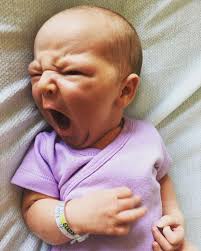 The Coulee Report (Aug 14, 2017)