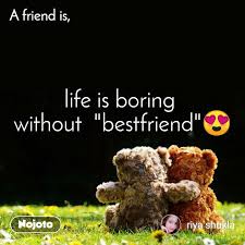 A Friend Is Life Is Boring Without Bestfriend Nojoto