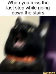 When You Miss The Last Step While Going Down The Stairs Ifunny Funny Memes Memes Tumblr Funny