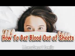 Check spelling or type a new query. How To Get Blood Stains Out Of Sheets Tested 9 Laundry Stain Removers Youtube