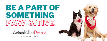 Please click on the donation button below for ways to donate to happy paws. Animal Allies Rescue Foundation Aarf Adoptable Cats Dogs In Baltimore