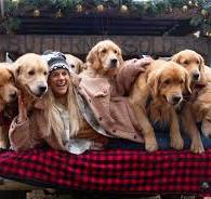 Golden Retriever Experience® - Golden Dog Farm LLC