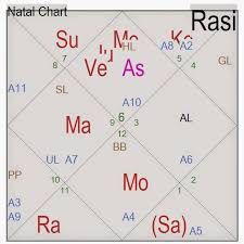 Astrofuture Arudha A Tool For Knowing Your Career