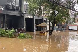 Добавьте ликвидности паре broobee / burger на burgerswap. The Discourse On Class Action From Kemang Could Be The Beginning Of A More Dangerous Community Growth