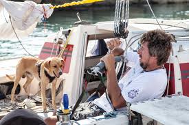 Abbott (alere health sdn bhd). The Man The Dog And The Sea