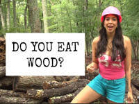 Cellulose is an important structural component of the primary cell wall of green plants. Are You Eating This Substance That Lines Food Industry Pockets