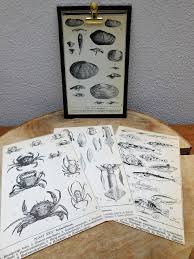 Klembord Gemaakt Van Oude Boek Kaft Https Www Facebook Com Oldmadeawesome Oude Boeken Boeken Klemborden
