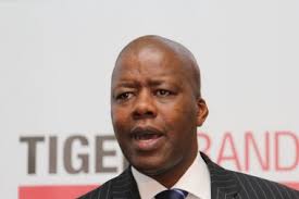 I always say being a brand manager at tiger brands is like being the ceo of your own business. Peter Matlare Ceo Tiger Brands 20 Large Moneyweb
