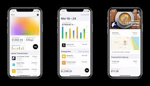 Apple has introduced apple card, a credit card by apple for apple pay customers, made in the app will also classify your purchases into categories, such as shopping, entertainment, etc. Apple Card Review How To Apply And Use Apple Card