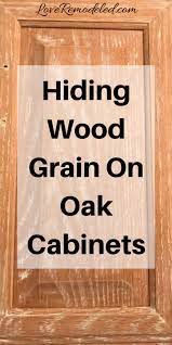 How To Paint Oak Cabinets Without The Grain Showing Diy Kitchen Cabinets Painting Oak Cabinets Painting Oak Cabinets