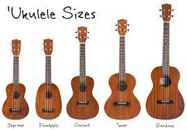 Soprano, concert, tenor, and baritone. Ukulele Sizes All You Need To Know