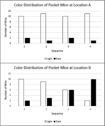 This film describes natural selection and adaptation in populations of rock pocket mice living in the american southwest. Https Bioone Org Journalarticle Download Fulldoi 10 1525 2fabt 2019 81 2 88