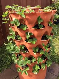 This productive vertical strawberry planter can grow 48 plants. About Garden Tower Project The Next Generation Of Gardening Plants Vertical Container Gardening Vertical Garden