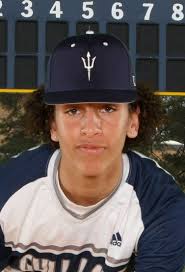 Meet the 2023 Battle Creek Enquirer All-Area Baseball Team