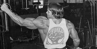 I know people don't like to hear the genetics excuse, but honestly i think me and my brothers have good shoulder genetics. The Complete Guide To Boulder Shoulders