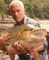 Reality TV series 'River Monsters' ended because Jeremy Wade was able to  catch essentially every exceptionally large freshwater fish species on  earth, therefore the show had no more content left. The show