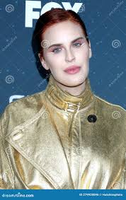 Belle Fox Stock Photos