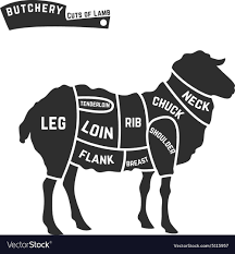 lamb or mutton cuts diagram butcher shop black on