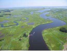 welcome to plum island ecosystems lter plum island ecosystems