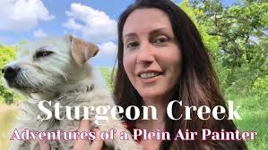 Mountain Lake Waterfall