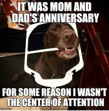 8 memes of awesome working dogs and police canines (except one is probably a military family's pet but. 21 Anniversary Meme Jpg