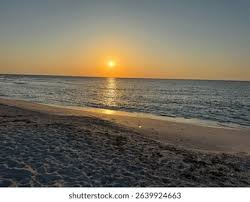 Image result for Sandy Beach Brown 2011 Captiva