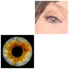 Hazel, Green, Grey, & Multicolored Eyes