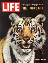 So The Other Week We Showcased Some Time Magazine Covers And You Guys Seemed To Really Enjoy Them So Today Life Magazine Covers Life Magazine Magazine Cover
