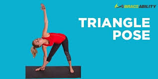 Pin On Si Joint Exercise