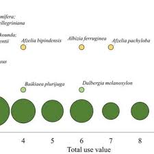 Image result for Adenodolichos punctatus
