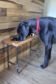Great Danes Diet And Food Great Dane