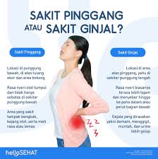 Sakit pinggang yang muncul tidak terkait dengan adanya gerakan tertentu atau tidak menjadi lebih. Hello Sehat Gejala Sakit Pinggang Dan Sakit Ginjal Facebook