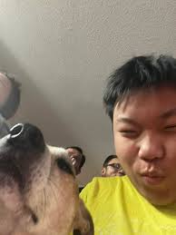 Let's welcome our new members! Patrick Sherman, Amanda Bravo, Dani  Menjivar, Nico Ba, Anirudh Rao, Bobert Baker, Max Wolner, Cathryn Huff,  Gilberto Junior, Rob Spinnin