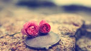 Image result for love images