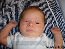 We did not find results for: Awesome 1 Month Old Baby Development Milestones Games Toys