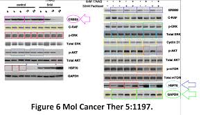 Cancer research uk, however, is one of the brands well on the way to ensuring they will be compliant come may. Fake Data Untouchable Men And Guilty Women At Icr London For Better Science