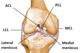 Even the said figure shows that a meniscus surgery in the us is expensive. Meniscus Tear Surgery Abroad Avoiding Nhs Waiting Times