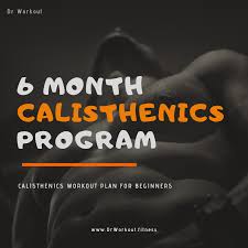 Calisthenics Workout Plan For Beginners 6 Month