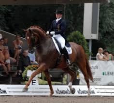 On top of that, there have been further complications to werth's legacy, as she has been caught breaking doping rules multiple times. Isabell Werth S Dressage Training System Unveiled Dressage Today