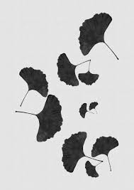Check spelling or type a new query. Kunstlerische Illustration Ginkgo Leaf Black White I Europosters De