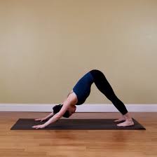 Downward Facing Dog Essential Yoga Poses Yoga Poses Fitness