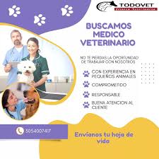Clínica Veterinaria TODOVET