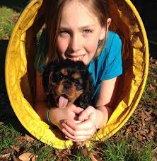 The Palmetto Cavalier Post