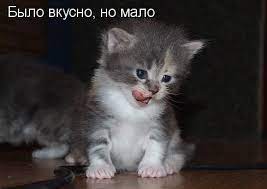 Было вкусно - прикольные картинки (25 фото) • Прикольные картинки и позитив