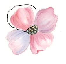Tipps und tricks zur acrylmalerei. Bluten Malen Mit Aquarellfarben Blumen Malen Susan Bronsak Wie Malt Man De Zeichnen Lernen Malen Lernen Online Malkurs Mit Acryl Und Olfarbe Malenwie Malt Man De Zeichnen Lernen Malen Lernen Online Malkurs Mit Acryl Und Olfarbe Malen